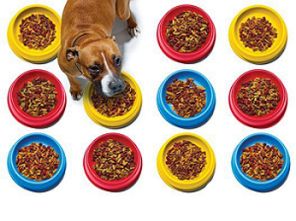 湖北可靠的宠物食品辐照公司及辐照食品检测仪使用指南