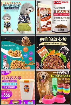 时年宠粮 科学配比，守护宠物健康