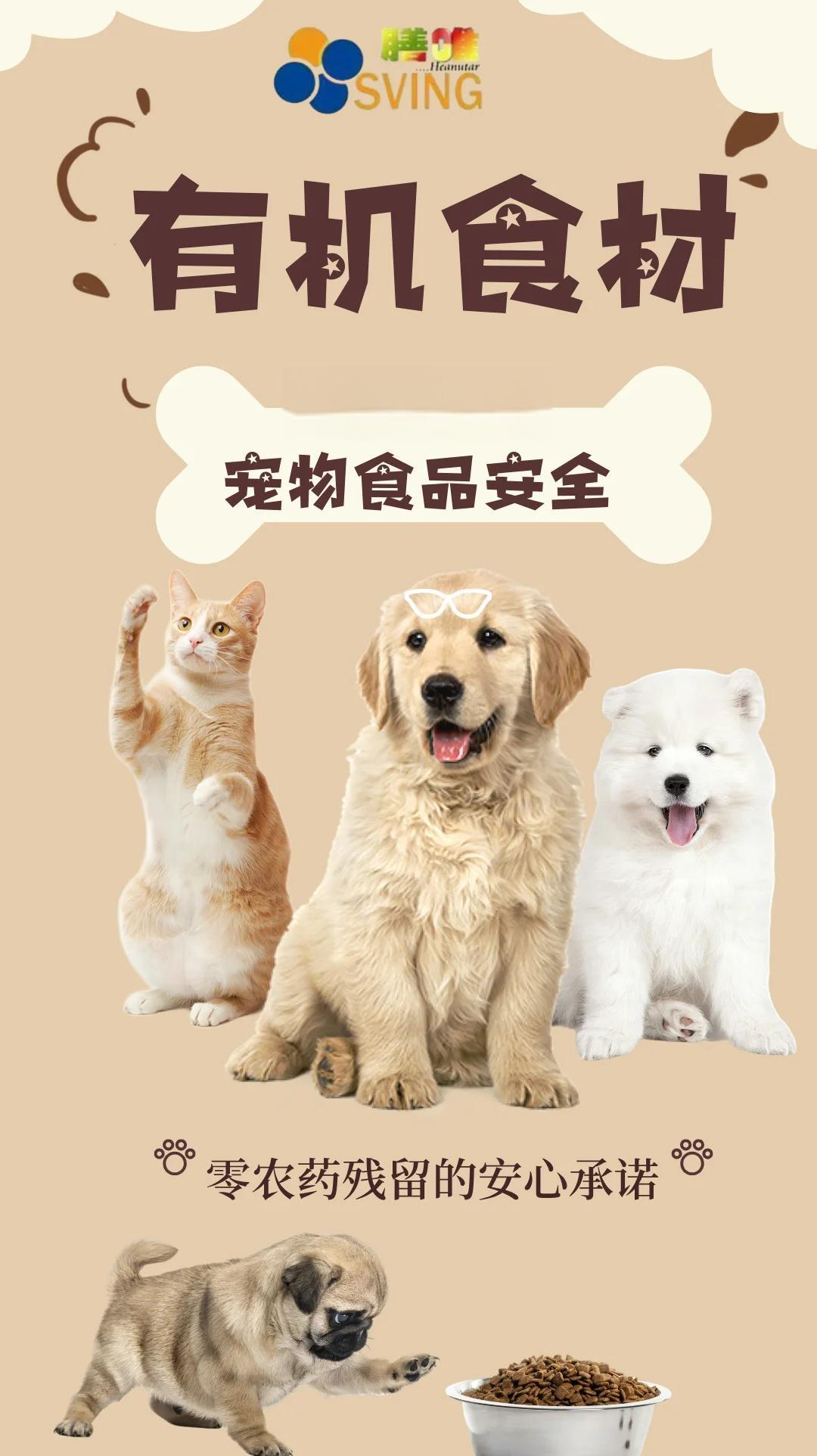 从餐桌到餐碗 有机食材如何为宠物健康筑起天然屏障