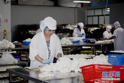 乌兹别克斯坦鹏盛工业园 新兴宠物食品产业的战略热土